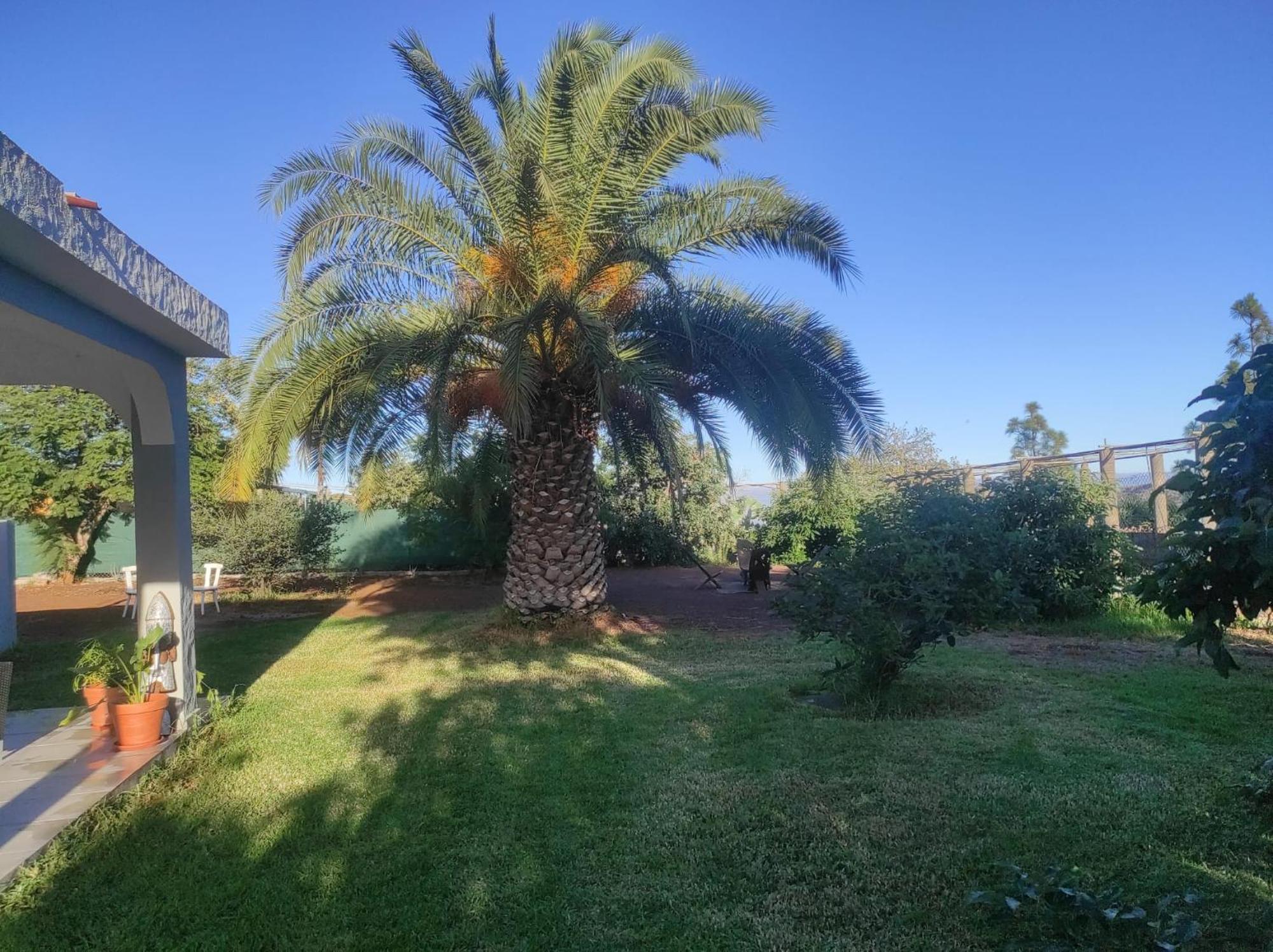 Cottage Gran Canaria Completely Renovated With Jacuzzi 발세키요 외부 사진